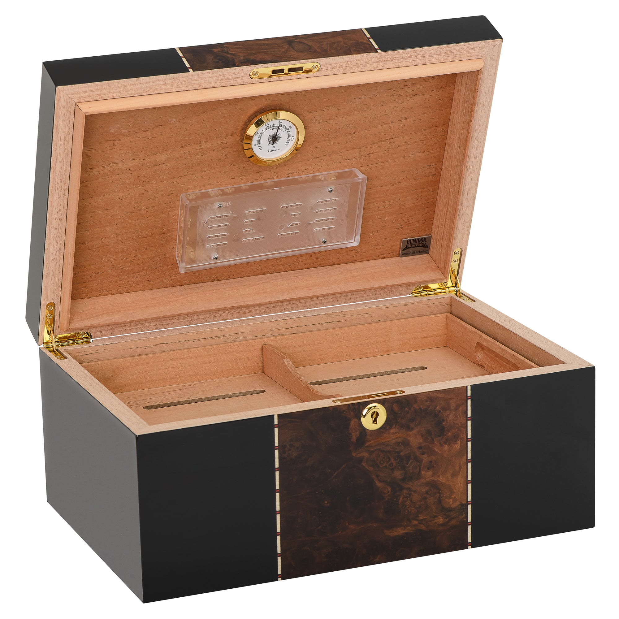 Humidor Supreme® Conte Rustic Burl