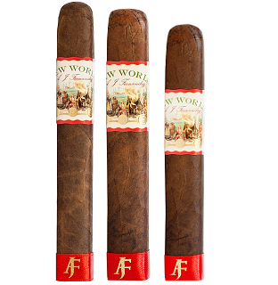 New World Nicaragua